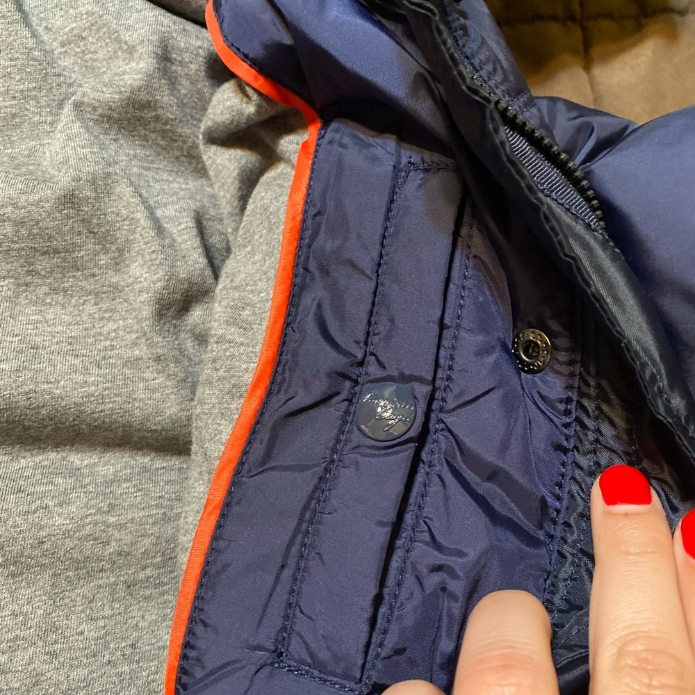American eagle - Picture 4 of 5